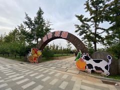 -南宫五洲植物乐园