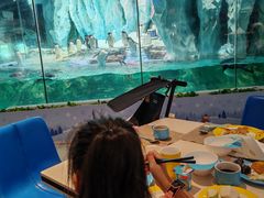 -帝企鹅自助餐厅•儿童岛•真企鹅(长隆企鹅酒店)