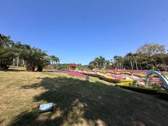 -盆满钵满·国家非遗传承(云台店)