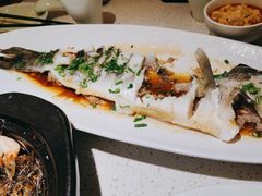 -船歌·鱼水饺青岛菜(金狮广场店)