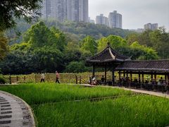 -龙头寺公园