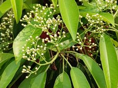 -济南大明湖景区