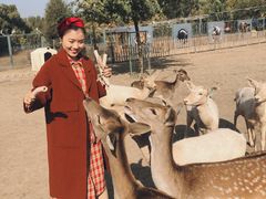 -北京麋鹿生态实验中心