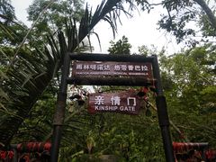 -呀诺达热带雨林
