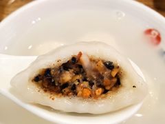 -海丝金凤(金鱼店)
