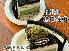 -哈根达斯(西安高新店)