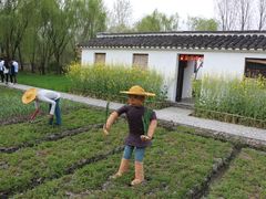 -溱湖国家湿地公园