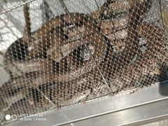 -顺德了能馆(虎门店)