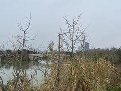 -三垟湿地