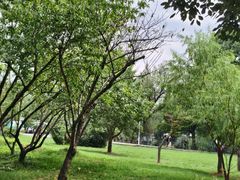 -贵阳市花溪国家城市湿地公园