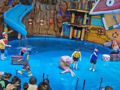 -烟台海昌鲸鲨海洋公园