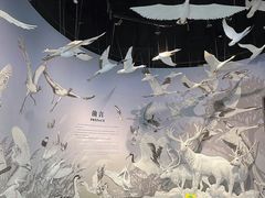 -中国湿地博物馆