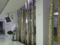 -极简口腔(总院)