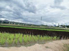 -光明小镇欢乐田园