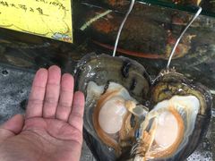 -蚝专家(北滘店)