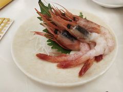 甜虾-元气寿司(金光华店)