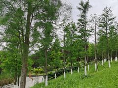 -金海湾滨江公园