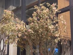-大理老字号·舟渔的鱼野生菌海景餐厅(双廊店)