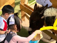 -HERRE·FARM 赫尔露营农场·团建聚会包场