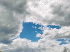 -白水寺森林公园
