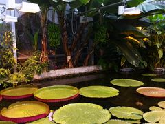 -国家植物园南园