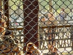 -长白岛森林公园