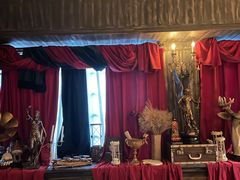 -雪灵魔法世界SHELLY’S TAROT(大良桂畔里店)