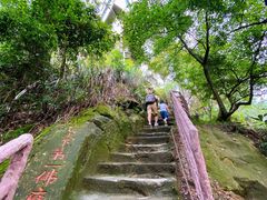 -大金鹰园