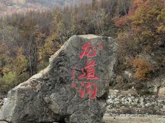 -龙道沟景区