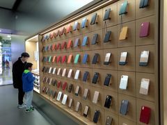 手机壳-Apple零售店(王府井店)