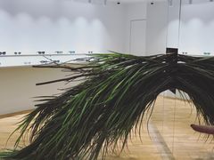 -glasstique(三里屯店)