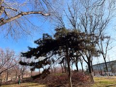 -北京国家会计学院