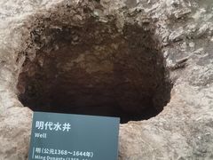 -南越王博物院(王宫展区)