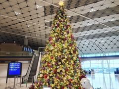 -香港国际机场