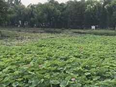 -北京小汤山医院体检中心