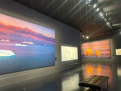 -罗红摄影艺术馆