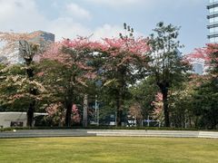 -库迪咖啡(深圳湾创新科技中心店)