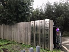 -都江堰中华大熊猫苑
