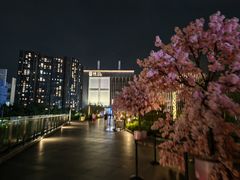 -盒马鲜生(岭南新世界店)