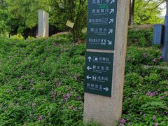 -月湖风景区