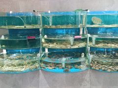 水产区-蓝珊甄选海鲜自助·火锅大排档(近阿那亚店)