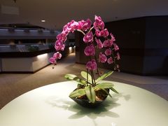 -新加坡泛太平洋酒店