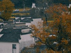 -塔川景区