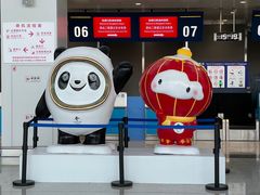 -张家口宁远机场