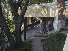 -鹅岭公园瞰胜楼