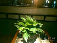 -手选潮汕鲜活牛肉火锅(二七广场店)