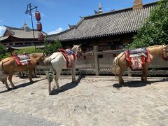 -天龙八部武侠城