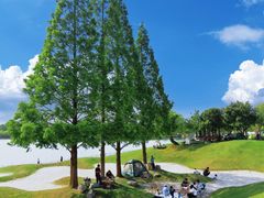 -南京银杏湖乐园