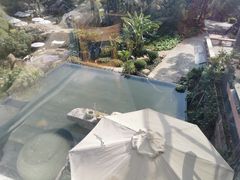 -厦门园林植物园-植物园滴水山房