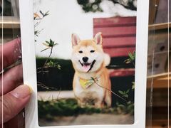 -猫的天空之城概念书店(束河店)